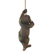 Image Thumbnail for MAKOKOU THE CLIMBING MONKEY